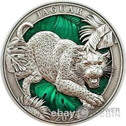 JAGUAR Colours of Wildlife 3 Oz Silver Coin 5$ Barbados 2024