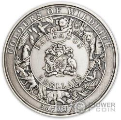 JAGUAR Colours of Wildlife 3 Oz Silver Coin 5$ Barbados 2024